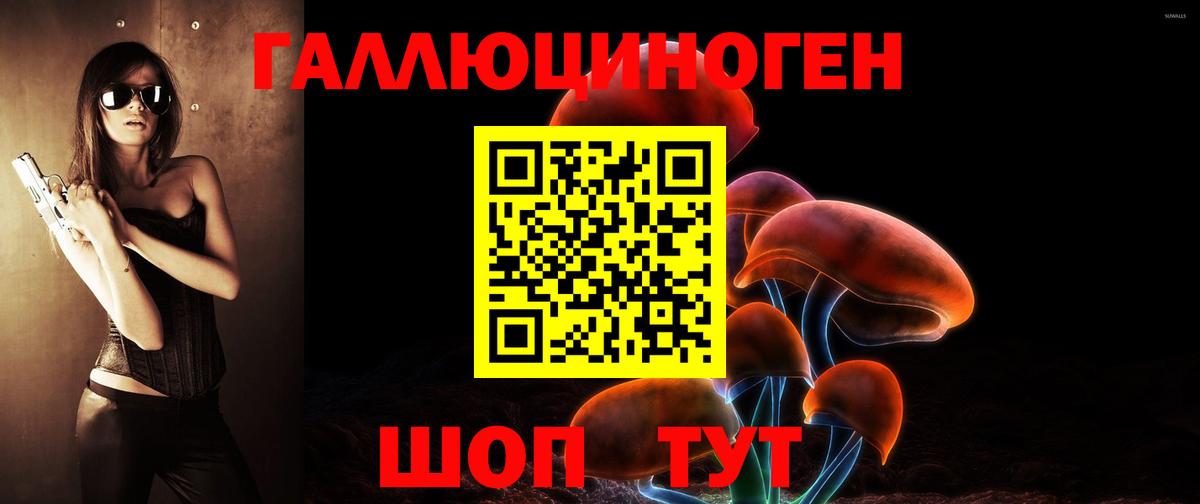 Псилоцибиновые грибы Psilocybine cubensis  Вход с VPN  Ессентуки 